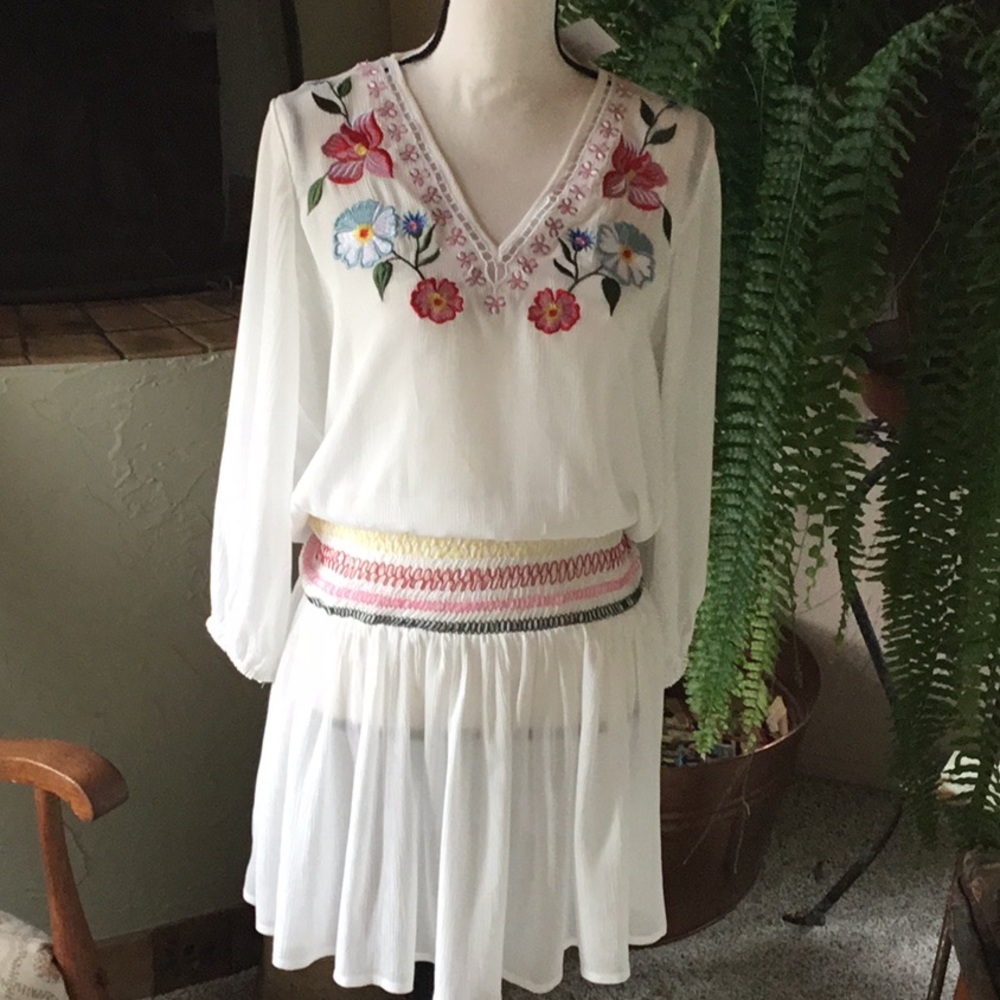 NWT Ruth Ann Embroidered Drop Waist Dress
